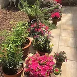Gartenwohnung In Haidhausen