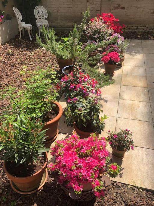 Gartenwohnung In Haidhausen Apartamento *
